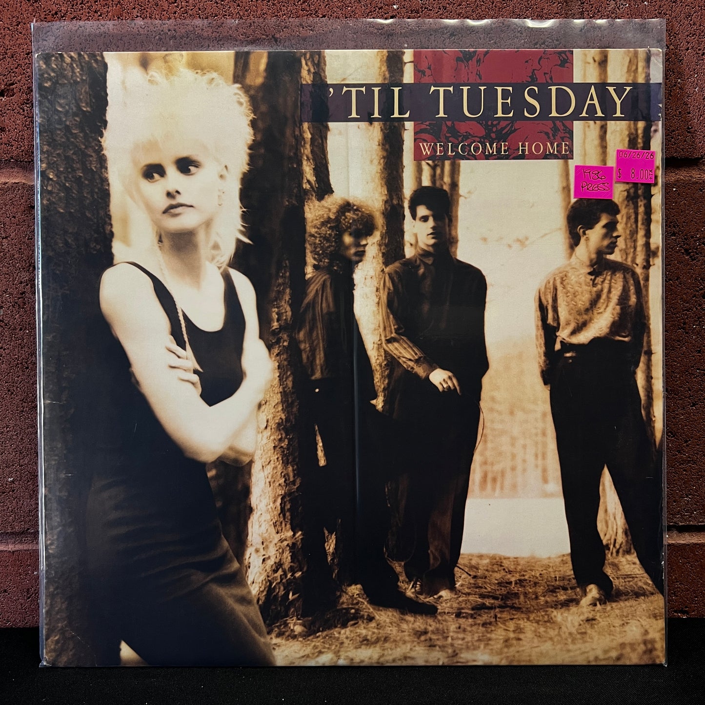Used Vinyl: 'Til Tuesday "Welcome Home" LP (1986 Press)