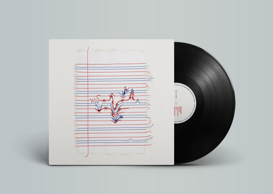 PRE-ORDER: V/A "Passages: Artists in Solidarity with Immigrants, Refugees, and Asylum Seekers" LP