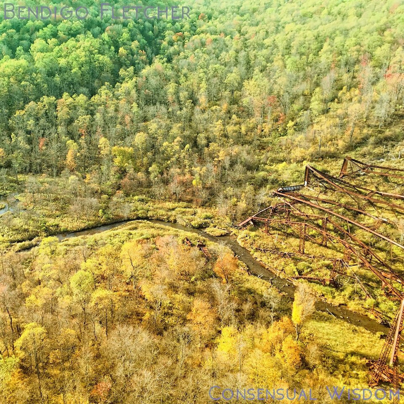 Bendigo Fletcher "Consensual Wisdom" LP (Opaque Beige Vinyl)