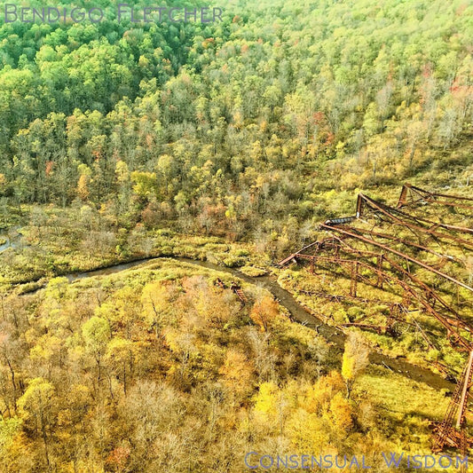 Bendigo Fletcher "Consensual Wisdom" LP (Opaque Beige Vinyl)