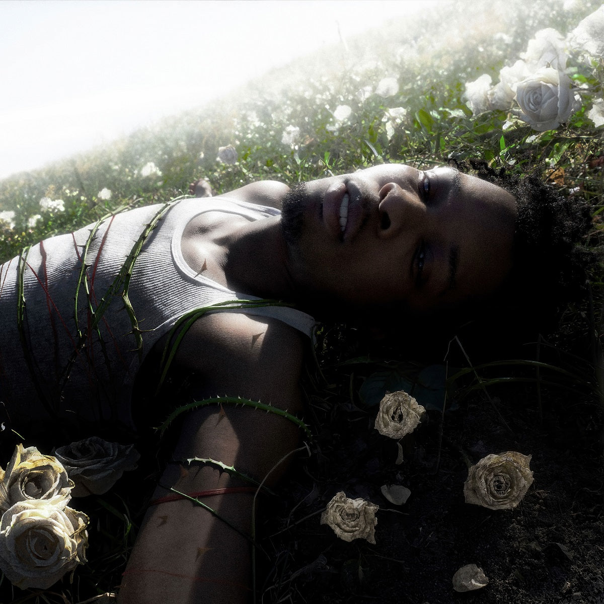 d4vd "WITHERED" LP (Pure Cloudy White Vinyl)