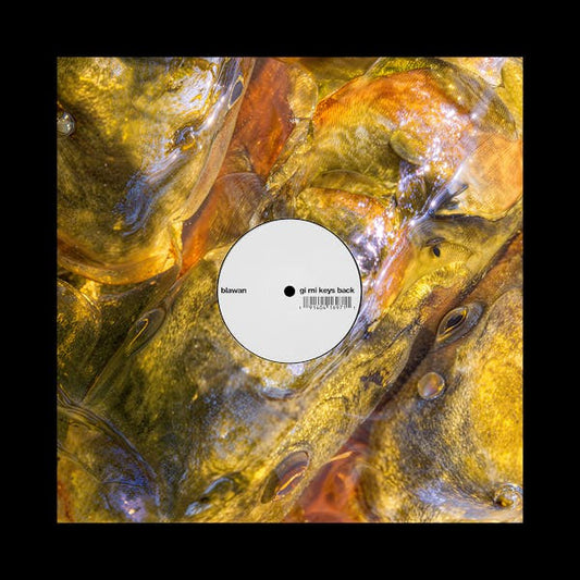 PRE-ORDER: Blawan "Gi Mi Keys Back" 12"