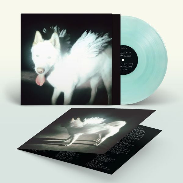 PRE-ORDER: Fat Dog "Cancel Me (I'm Tired)" LP (Indie Exclusive Coke Bottle Green Vinyl)
