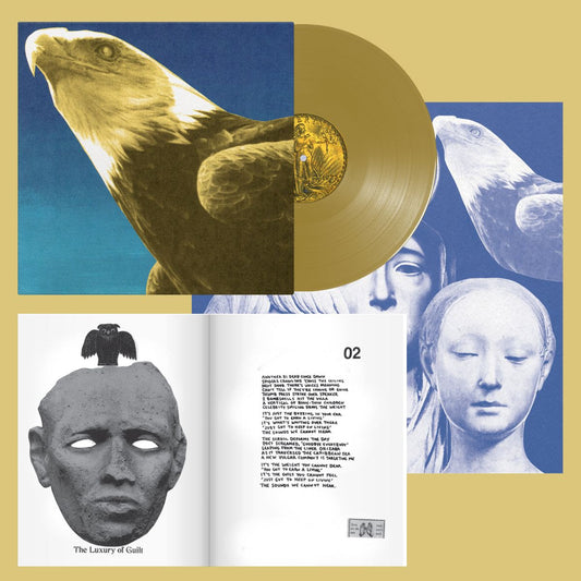PRE-ORDER: Protomartyr "Hotel Usona" LP (Gold VInyl)