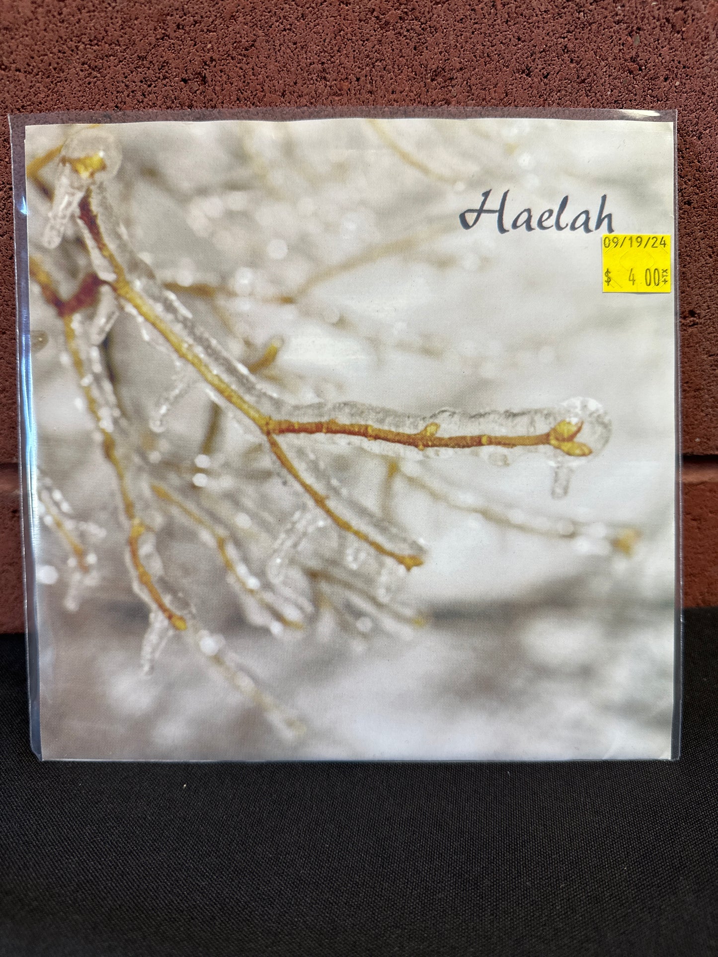 Used Vinyl:  Haelah ”Seasonal Needs” 7"