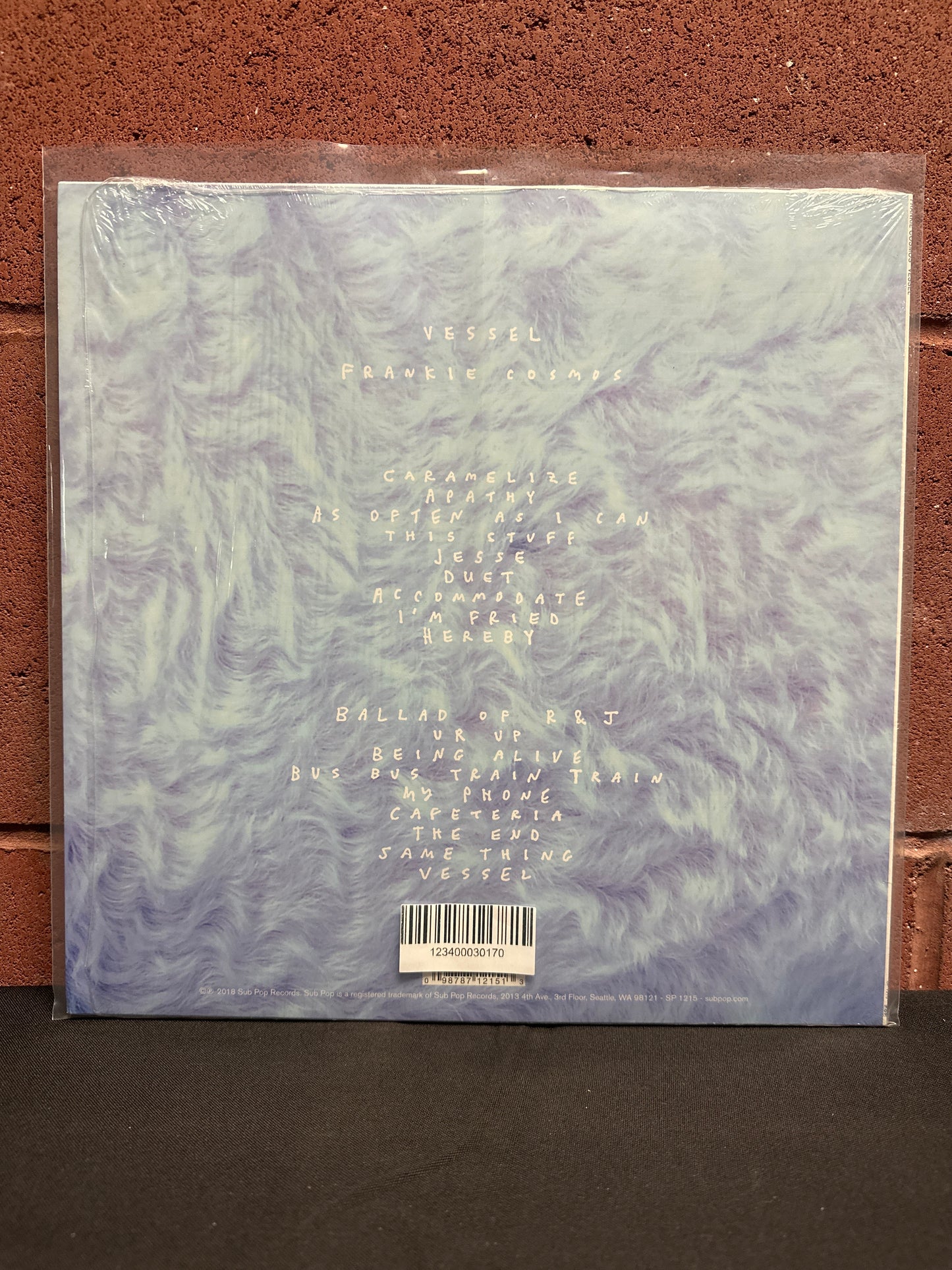 Used Vinyl:  Frankie Cosmos ”Vessel” LP (Blue Vinyl)