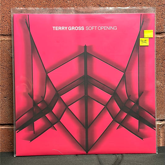 Used Vinyl:  Terry Gross ”Soft Opening” LP