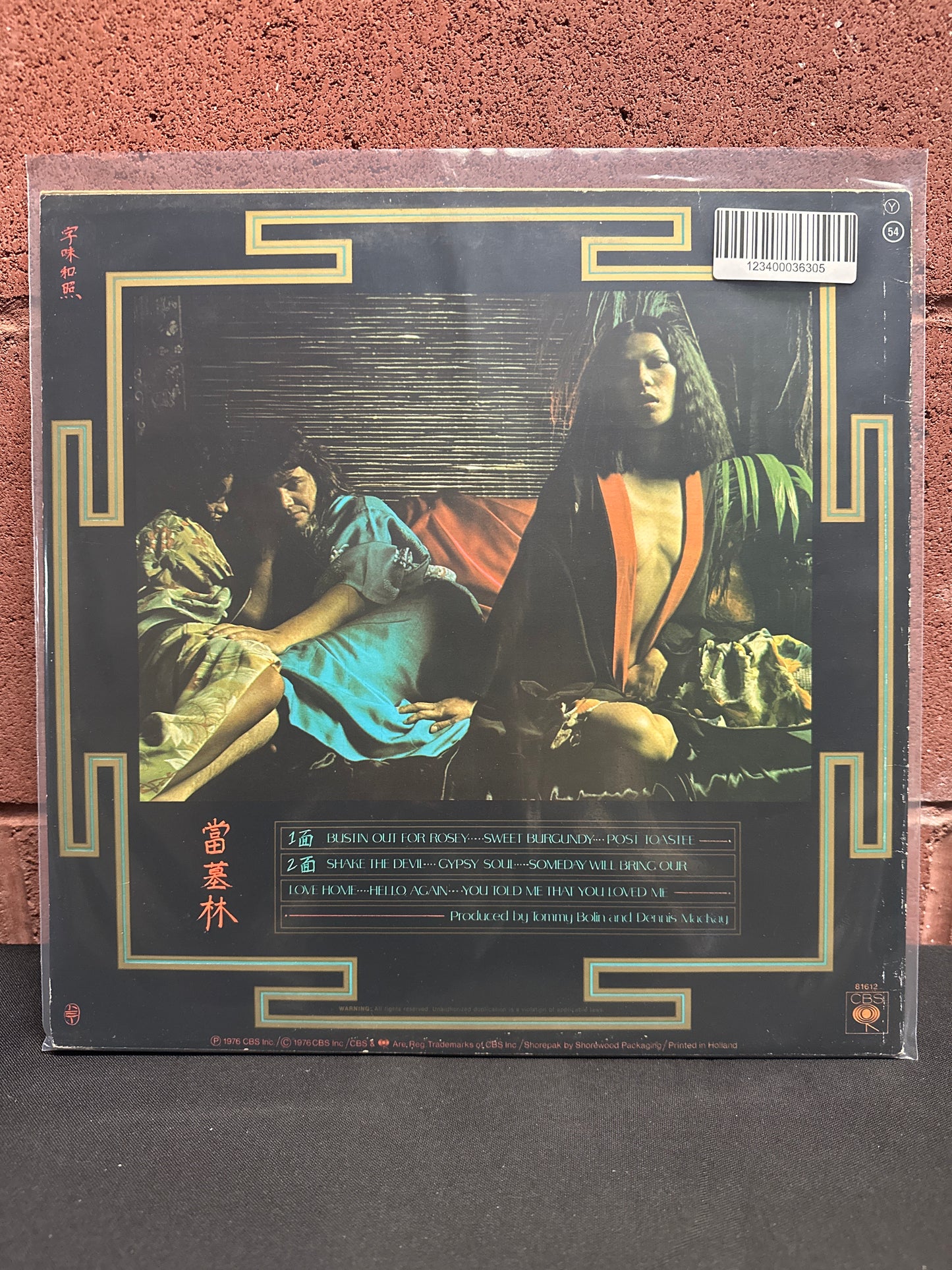 Used Vinyl:  Tommy Bolin ”Private Eyes” LP