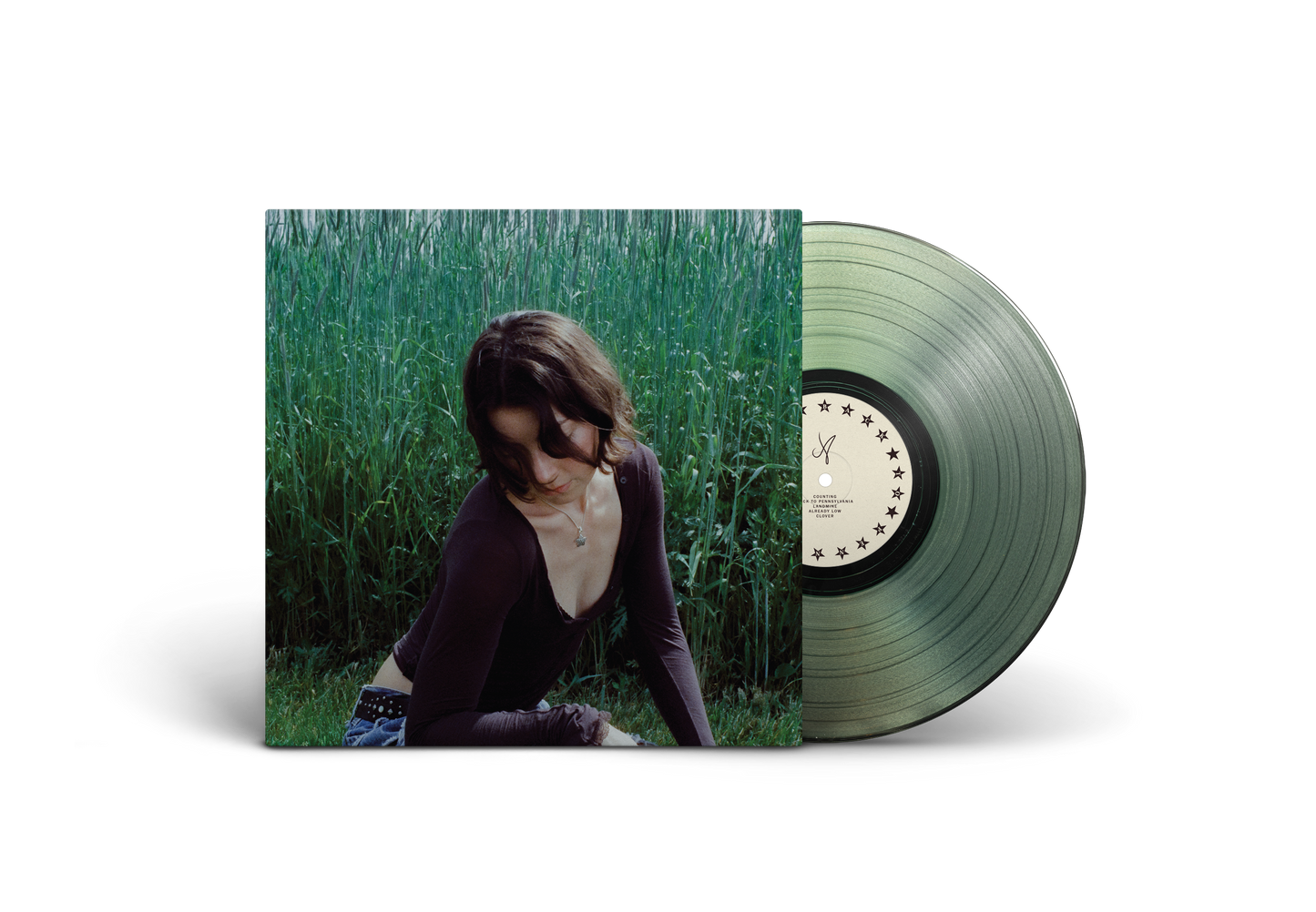 PRE-ORDER: Anne Shoemaker "Back to Pennsylvania" LP (Coke Bottle Clear Vinyl)