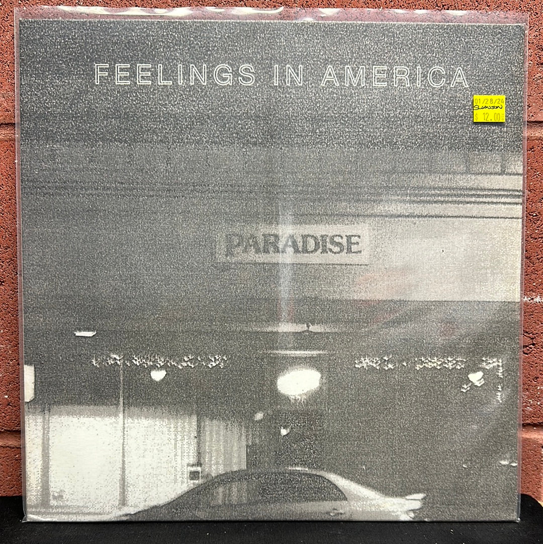 Used Vinyl:  Pete Swanson ”Feelings In America” LP