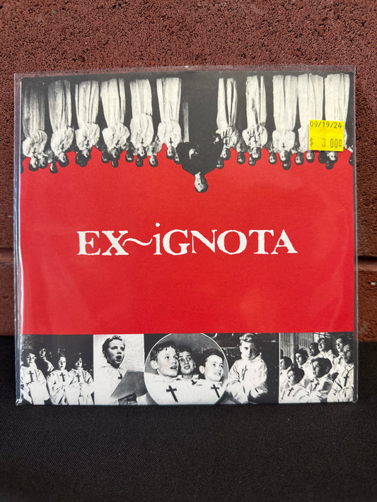 Used Vinyl:  Ex-Ignota ”Amy's Day / Truce” 7"