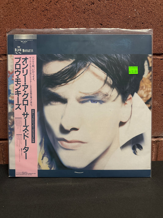 Used Vinyl: The Blow Monkeys "She Was Only A Grocer's Daughter" LP