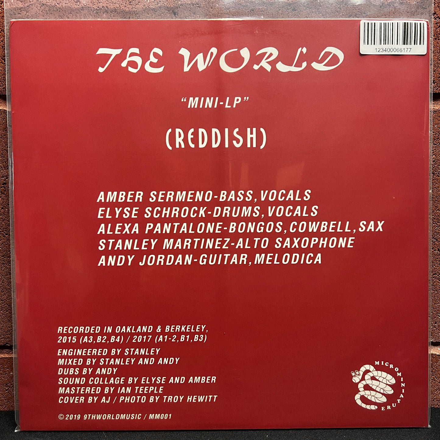 Used Vinyl: The World "Reddish" LP (2019 Press)