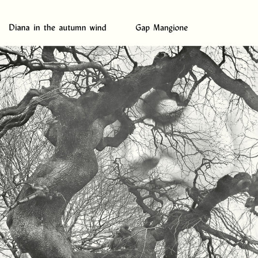 Gap Mangione "Diana In The Autumn Wind" LP