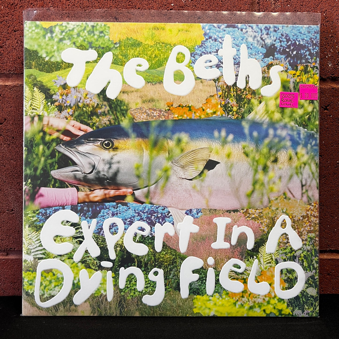 Used Vinyl: The Beths "Expert In A Dying Field" LP (2023 Press - Bone Vinyl)