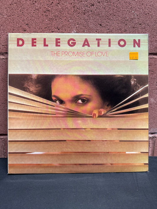 Used Vinyl:  Delegation ”The Promise Of Love” LP