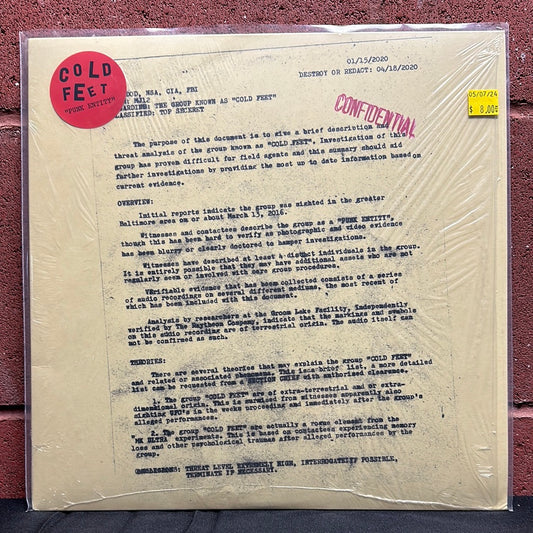 Used Vinyl:  Cold Feet ”Punk Entity ” 12"