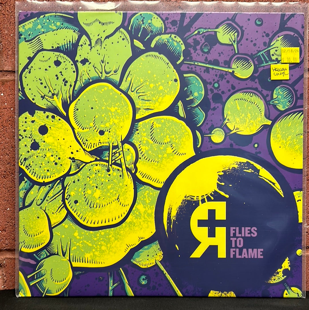 Used Vinyl:  Rosetta ”Flies To Flame” 12"