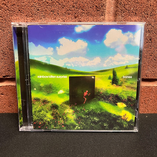 Used CD: Rainbow Kitten Surprise "bones" CD