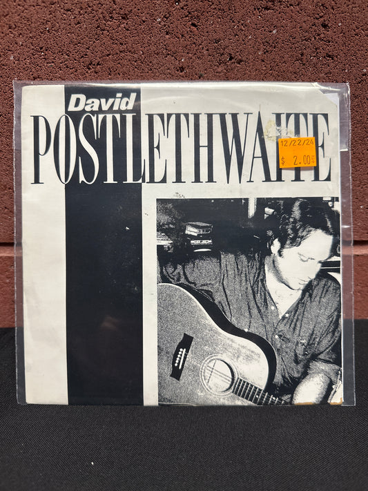 Used Vinyl:  David Postlethwaite ”Truly, Truly False” 7"