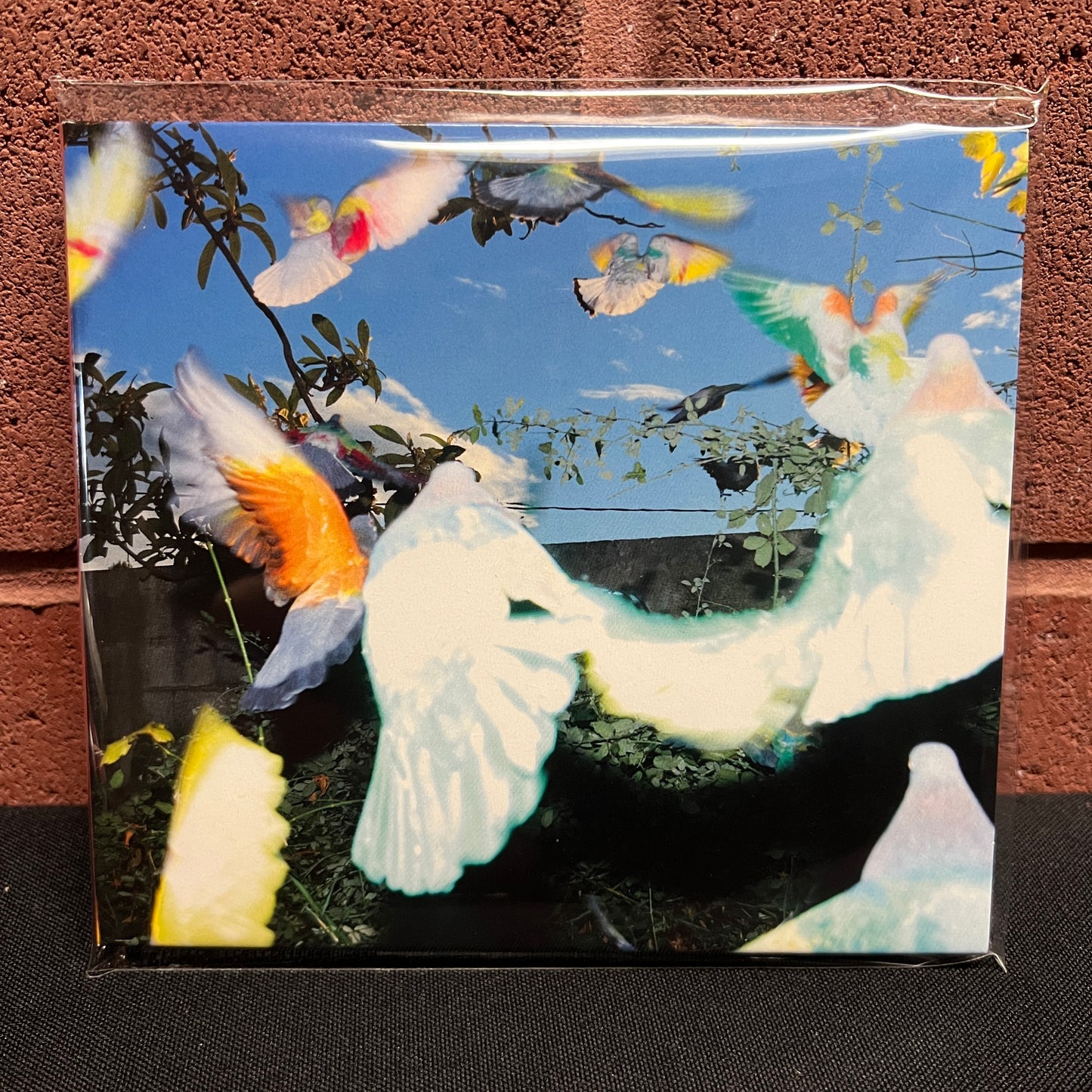 Used CD: Blawan "SickElixir" CD
