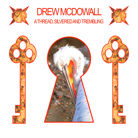 PRE-ORDER: Drew McDowall "A Thread, Silvered and Trembling" LP (Clear Red)