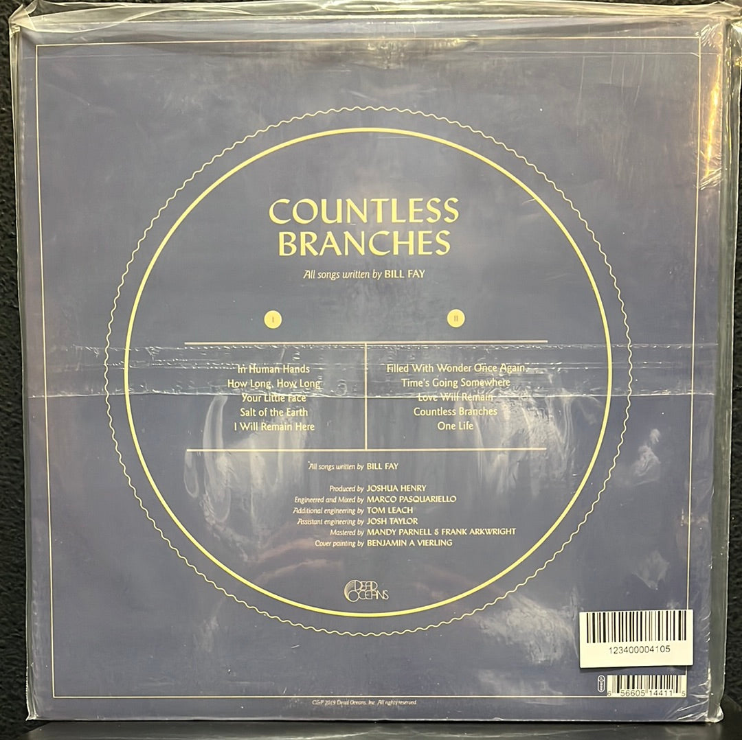 USED VINYL: Bill Fay "Countless Branches" LP