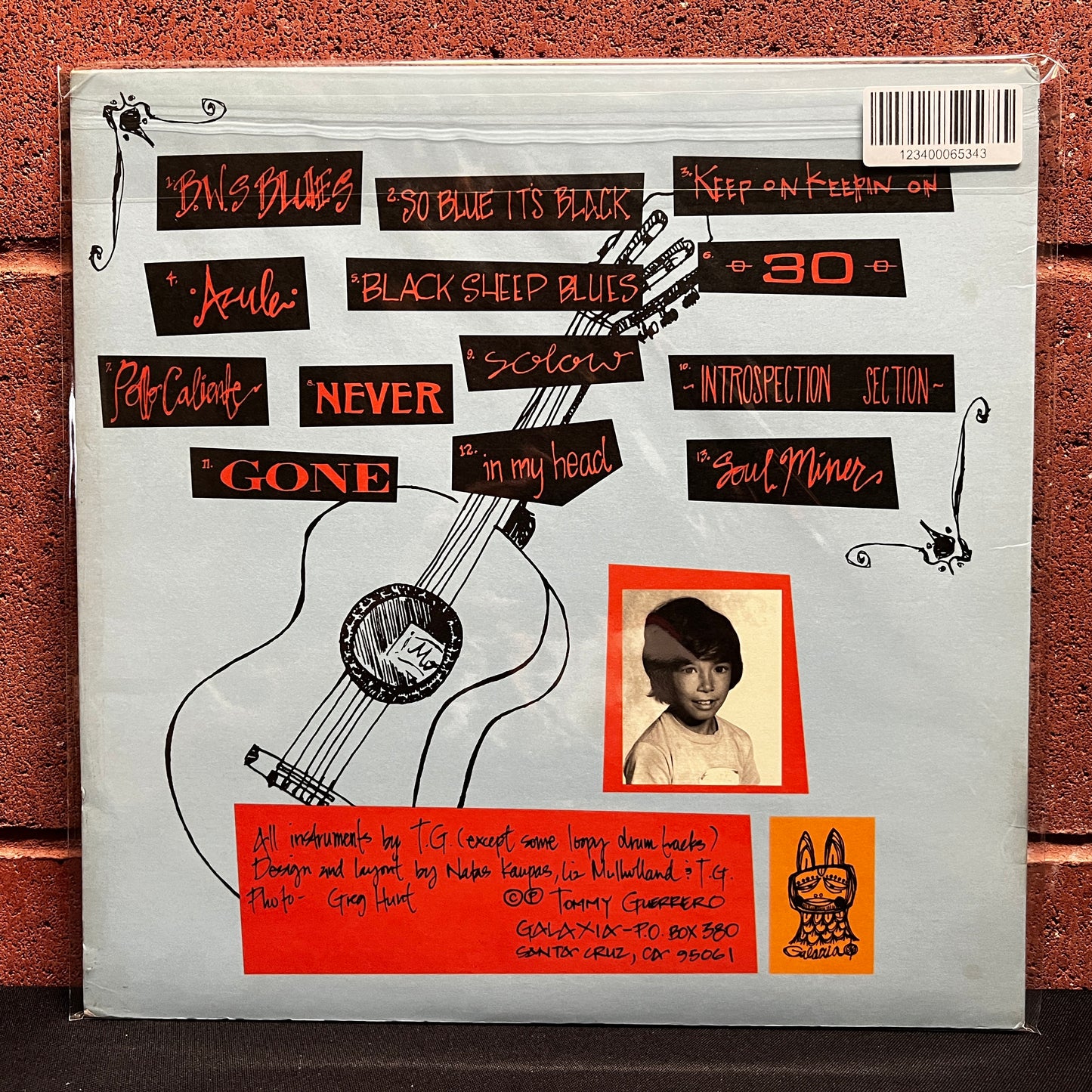 Used Vinyl: Tommy Guerrero "Loose Grooves & Bastard Blues" LP (1998 Press)