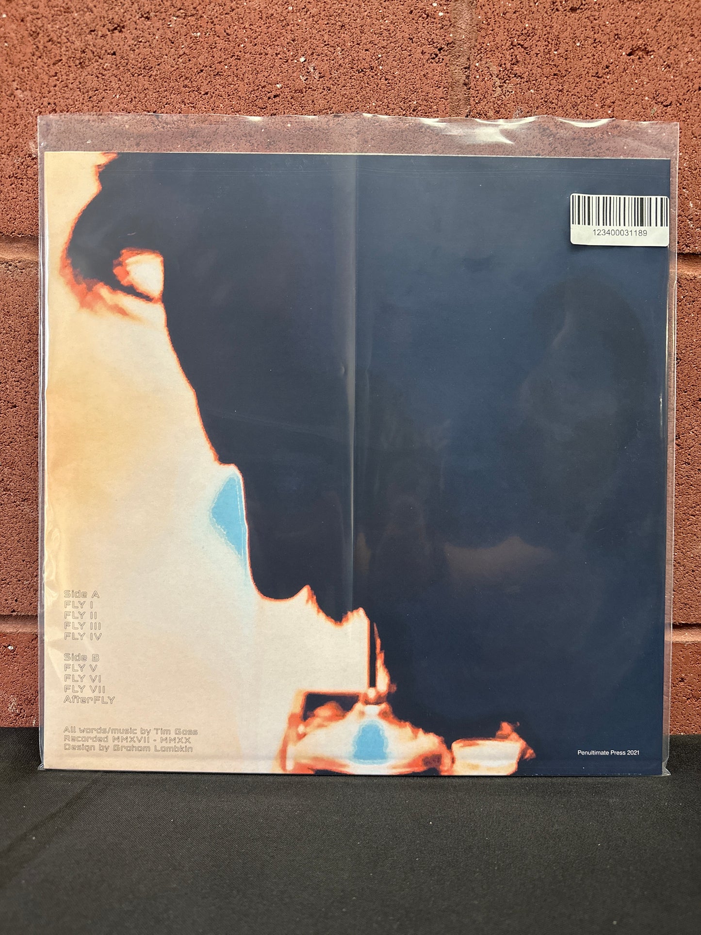 Used Vinyl:  Tim Goss ”Afterfly” LP