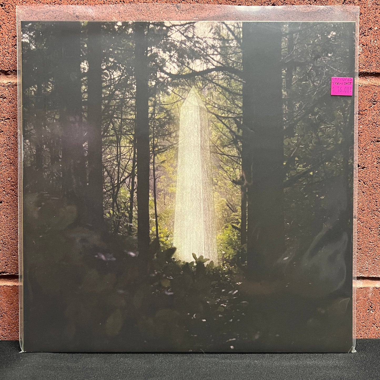 Used Vinyl: Teen Daze "The Inner Mansions" LP