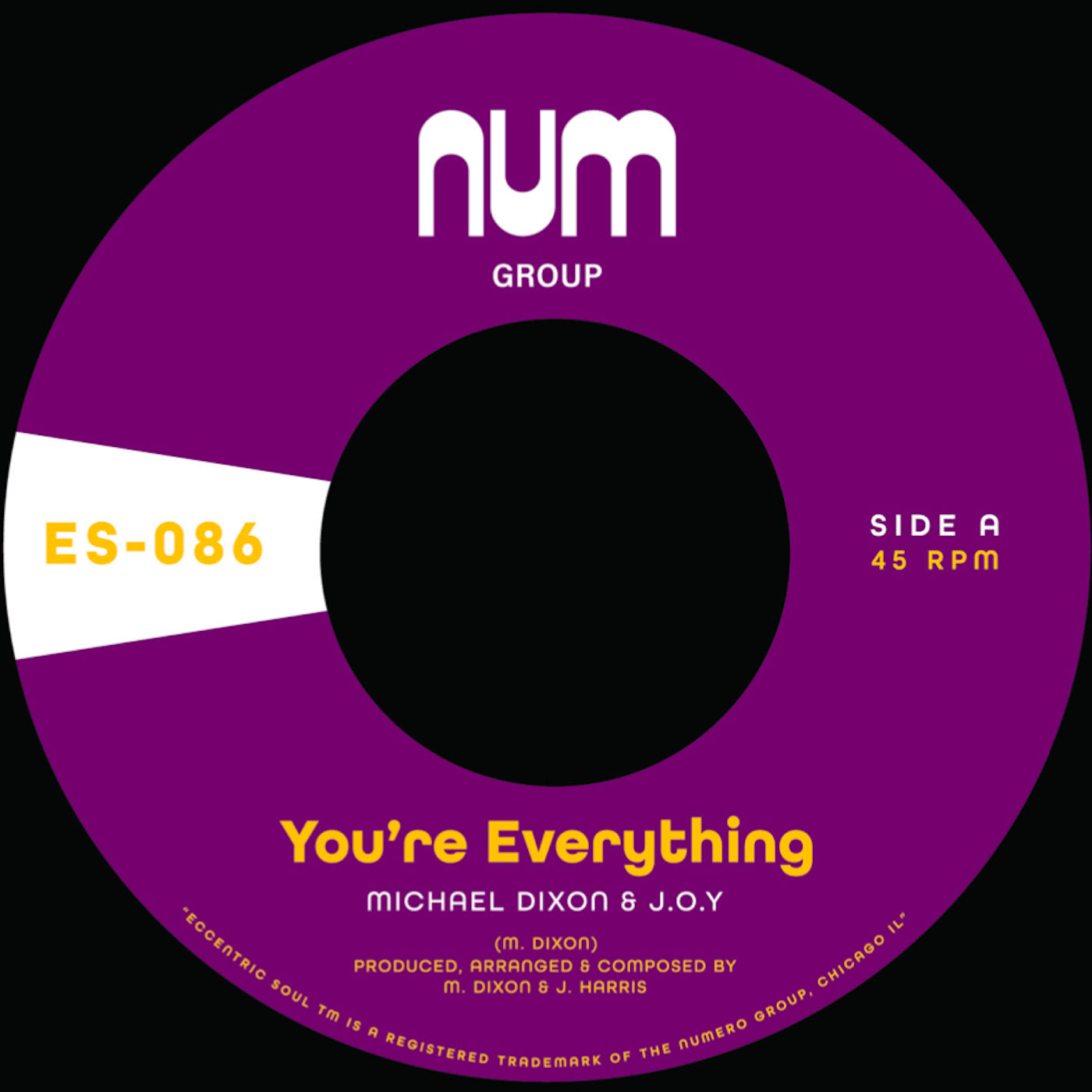 Michael A. Dixon & J.O.Y "You're Everything b/w You're All I Need" 7" (Purple)