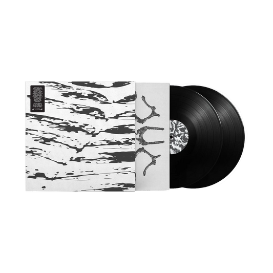 Guy Blakeslee "Extravision" 2xLP