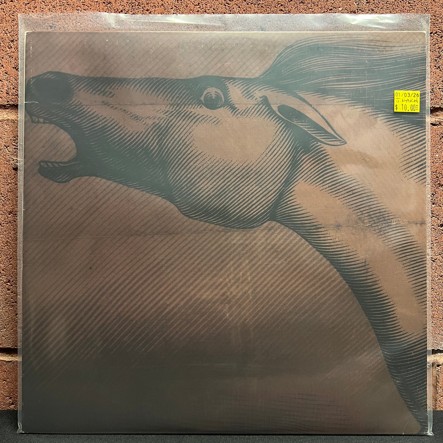 Used Vinyl: Julian Lynch "Mare" LP (2010 Press)
