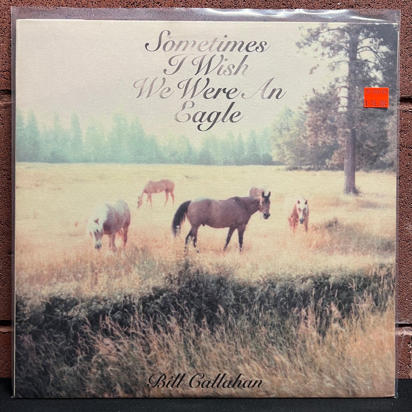 Used Vinyl: Bill Callahan "Sometimes I Wish We Were An Eagle" LP