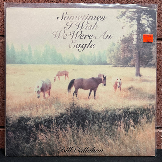 Used Vinyl: Bill Callahan "Sometimes I Wish We Were An Eagle" LP