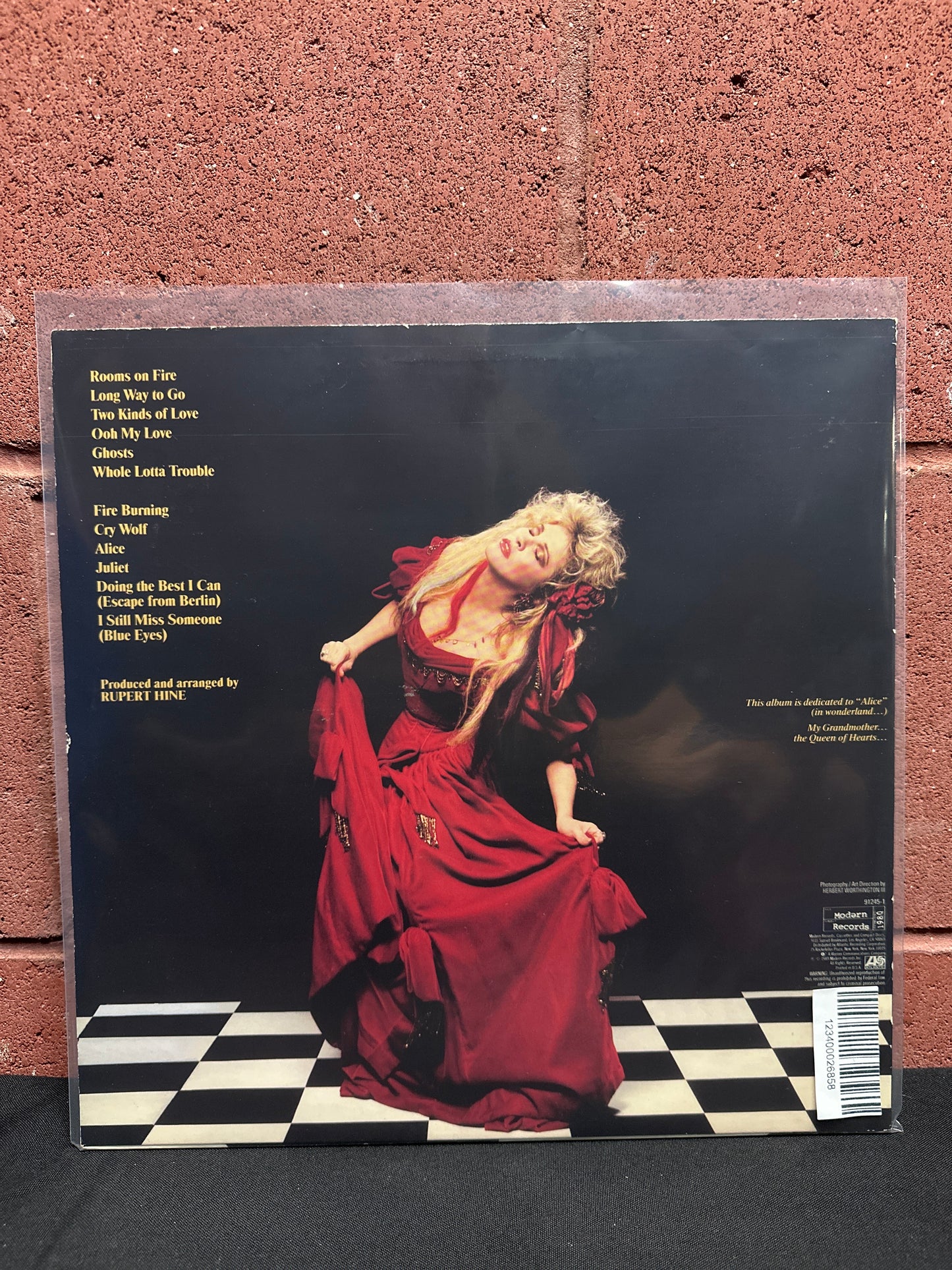 Used Vinyl:  Stevie Nicks ”The Other Side Of The Mirror” LP