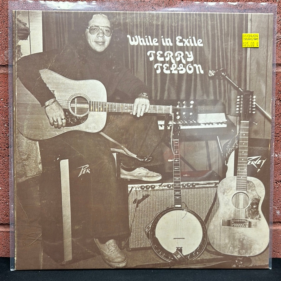 Used Vinyl:  Terry Telson ”While In Exile” LP