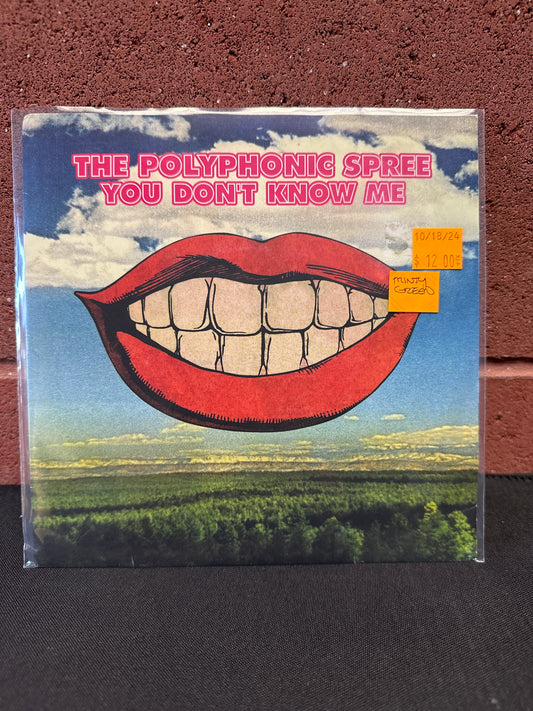 Used Vinyl:  The Polyphonic Spree ”You Don't Know Me” 7" (Mint Green Vinyl)