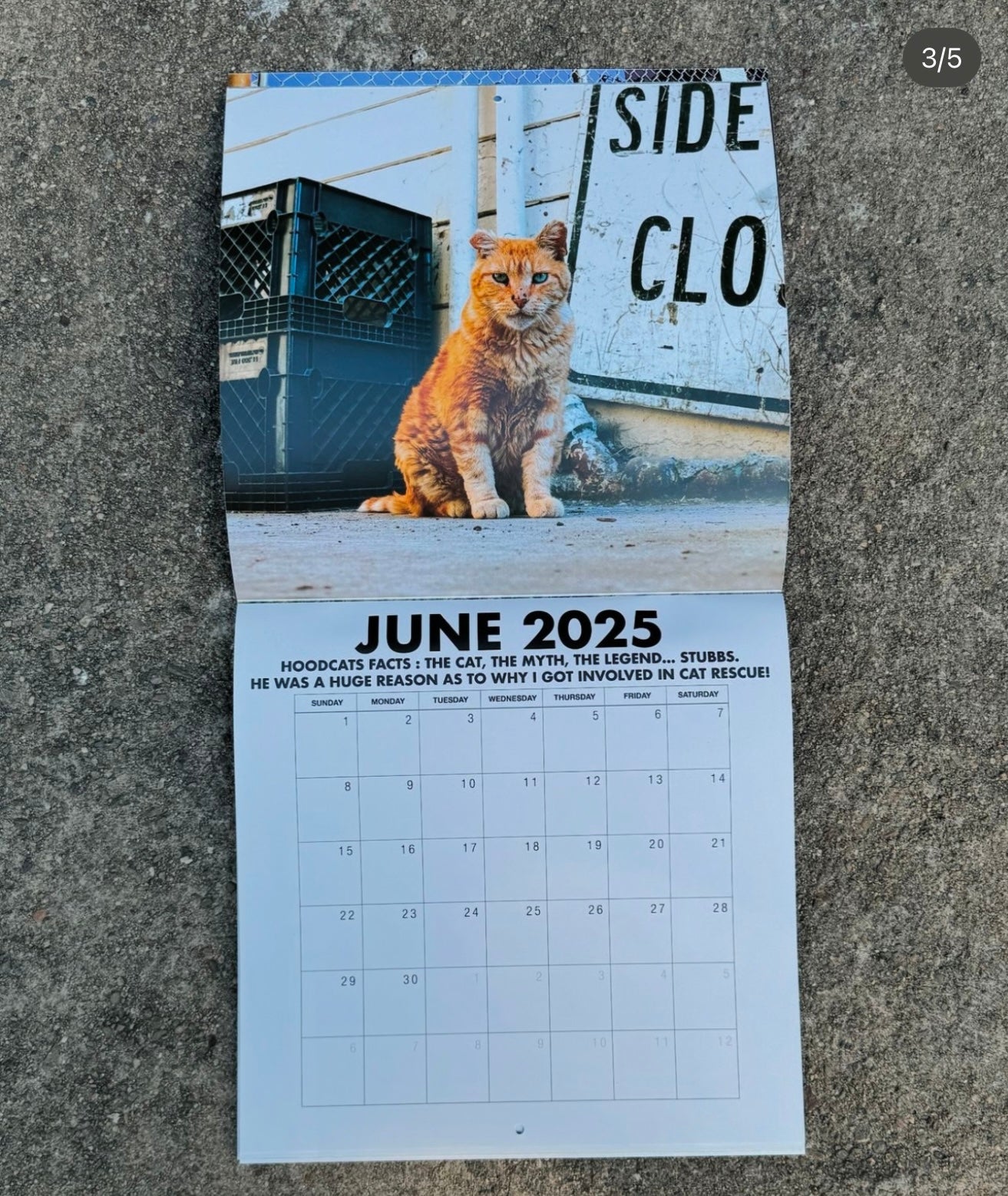 "Hoodcats 2025: By Cat Man Of West Oakland" Calendar