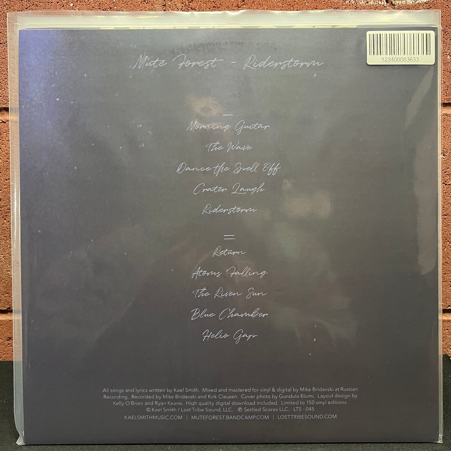 Used Vinyl: Mute Forest "Riderstorm" LP (2020 Press)
