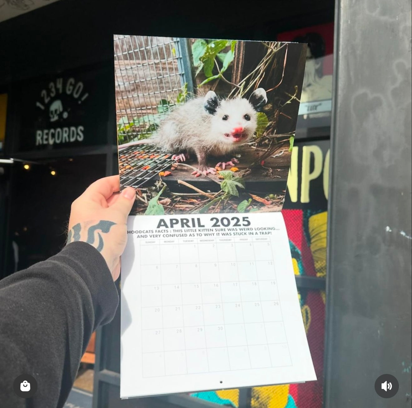 "Hoodcats 2025: By Cat Man Of West Oakland" Calendar