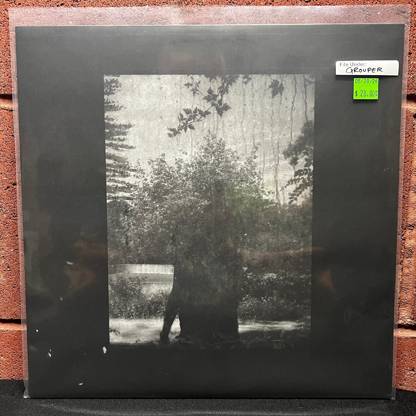 Used Vinyl: Grouper "Ruins" LP