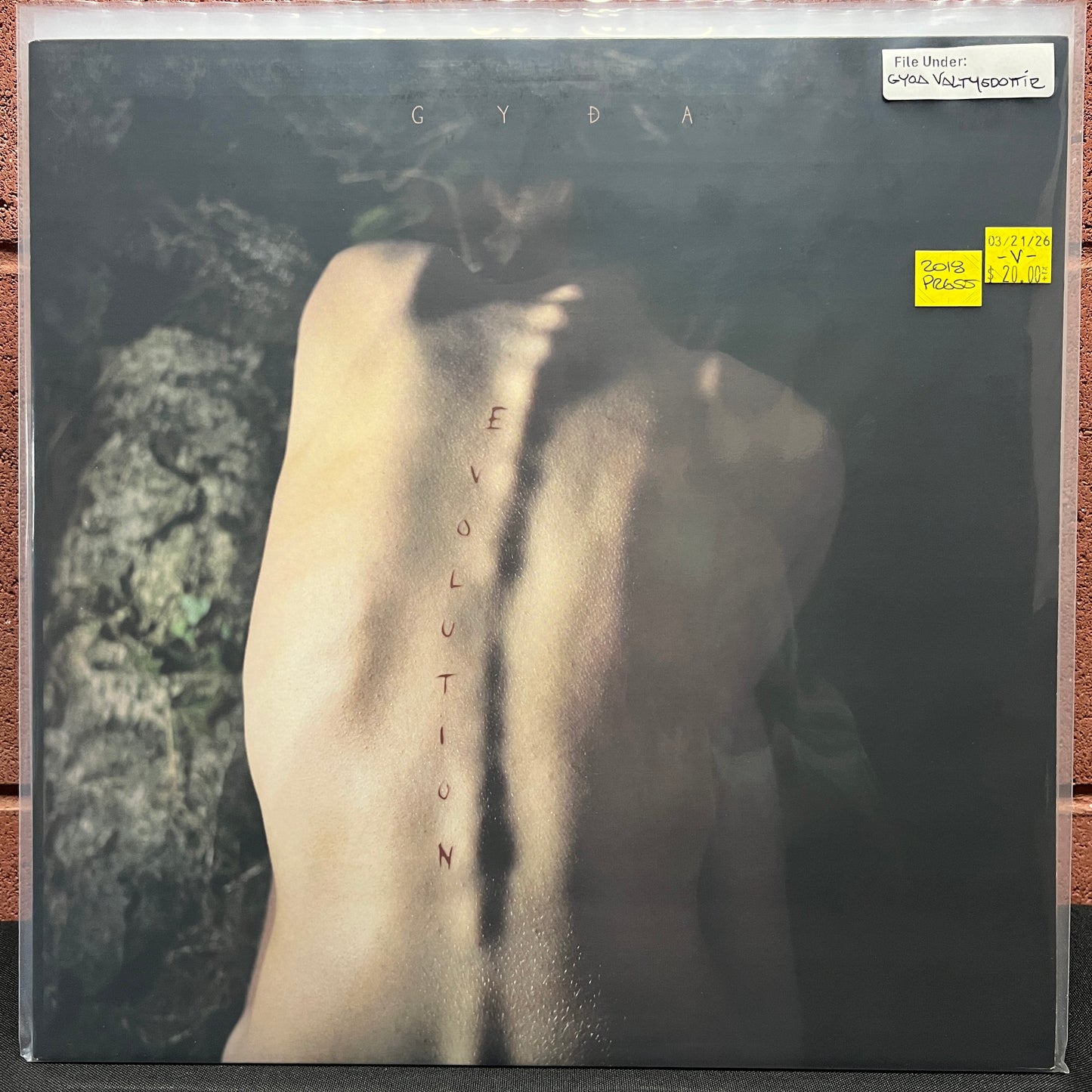 Used Vinyl: Gyoa Valtysdottir ‎"Evolution" LP (2018 Press)