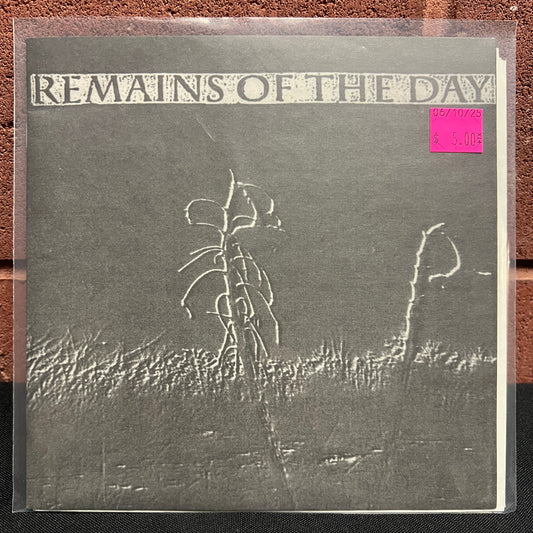Used Vinyl: Remains Of The Day "Remains Of The Day" 7"