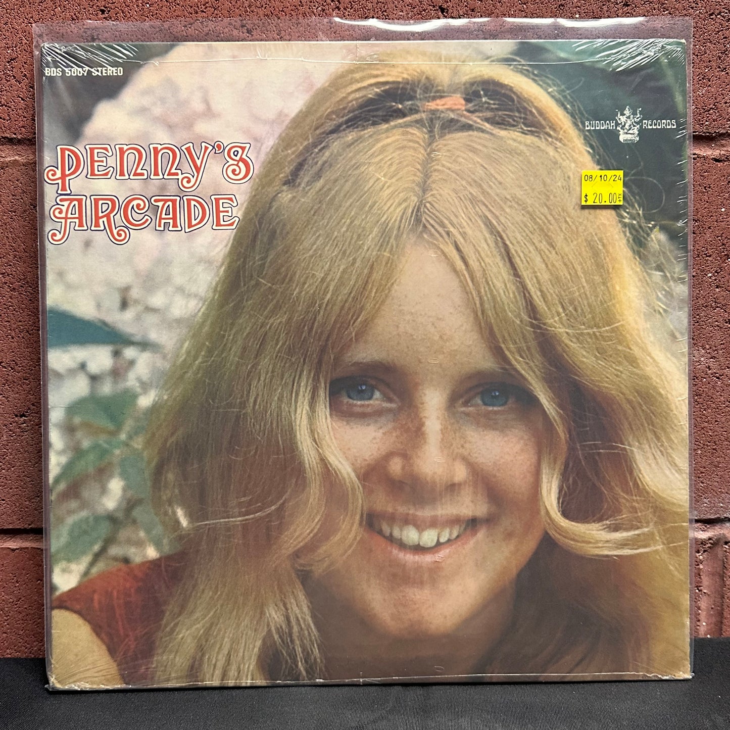 Used Vinyl:  Penny Nichols ”Penny's Arcade” LP