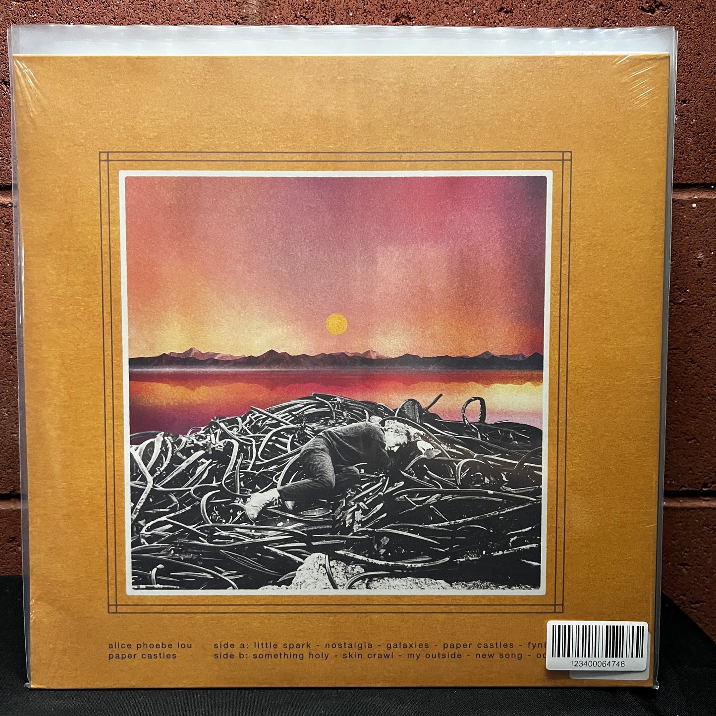 Used Vinyl: Alice Phoebe Lou ‎"Paper Castles" LP (2019 Press - Sealed)