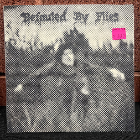 Used Vinyl: Befouled By Flies "Befouled By Flies" 7"