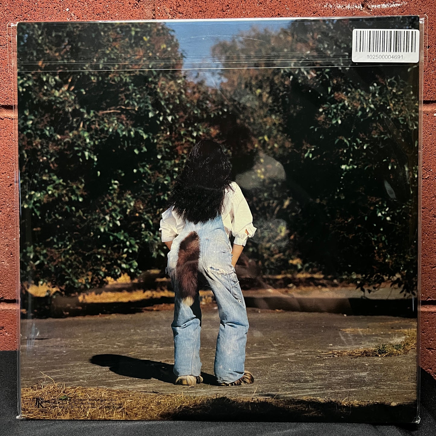 Used Vinyl: Akiko Yano "Gohan Ga Dekitayo" 2xLP (1980 Japanese Promo Press)