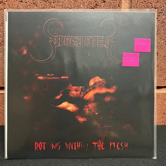 Used Vinyl: Disgusted "Rotting Within The Flesh" 7" (Purple Marble Vinyl)