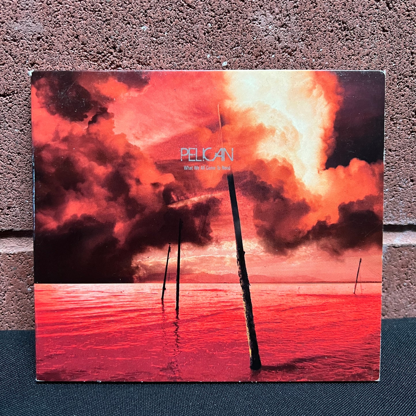 Used CD: Pelican "What We All Come To Need" CD
